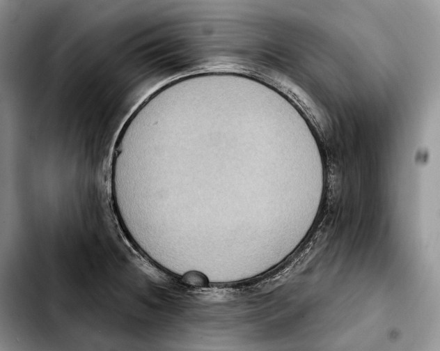 X0000103951236200810101431