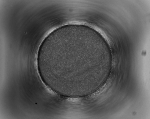 X0000103951237200810101431