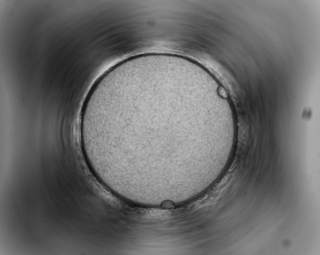 X0000103951238200810101431