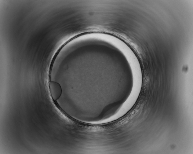 X0000103951239200810101431