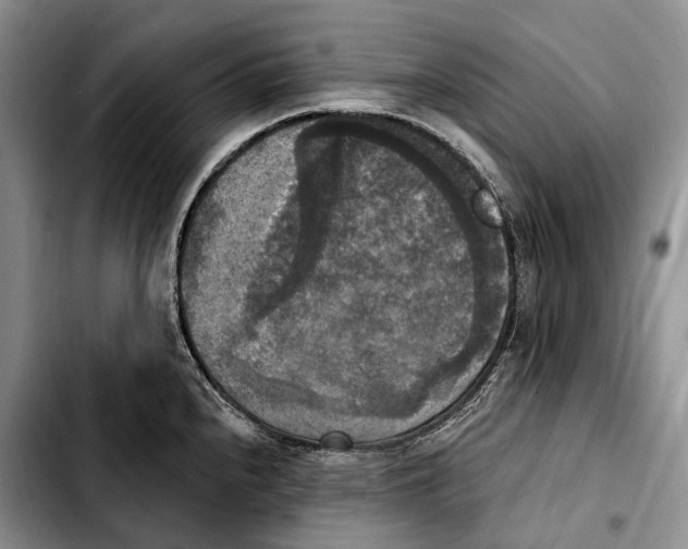 X0000103951240200810101431