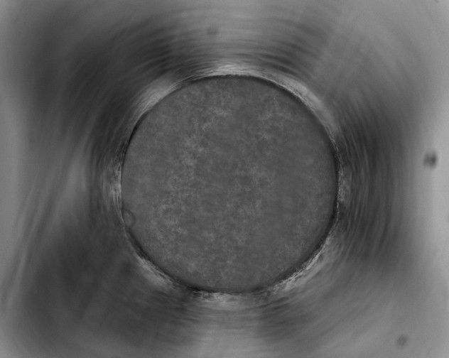 X0000103951241200810101431