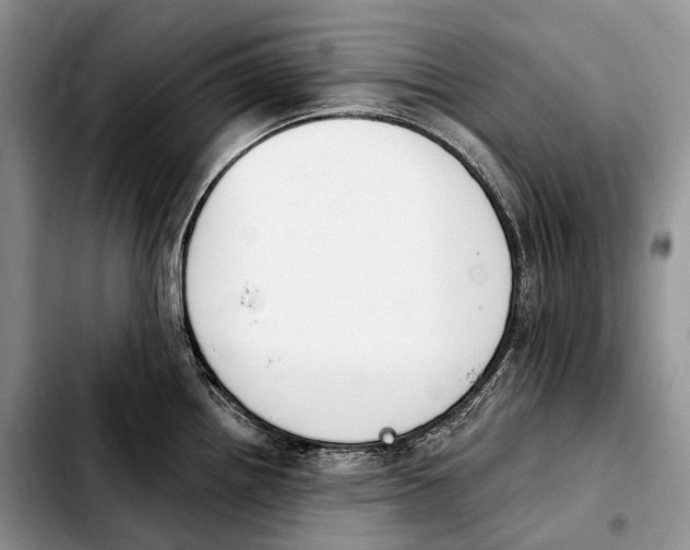 X0000103951242200810101431