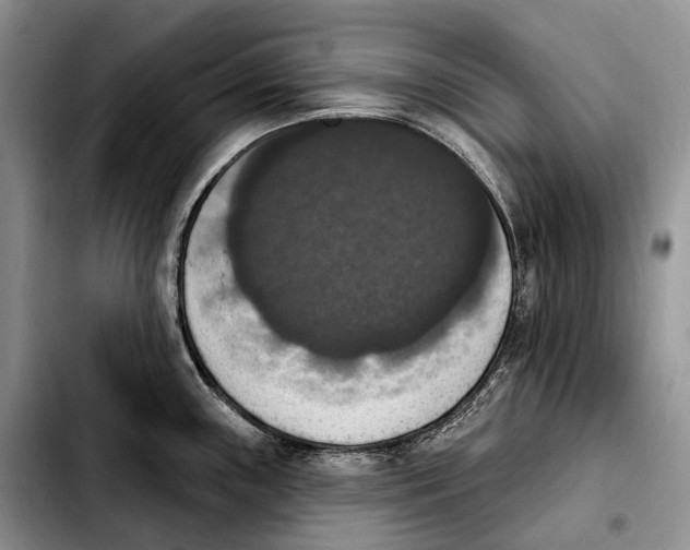 X0000103951243200810101431