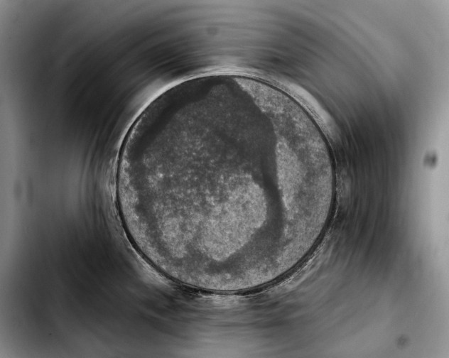 X0000103951244200810101431