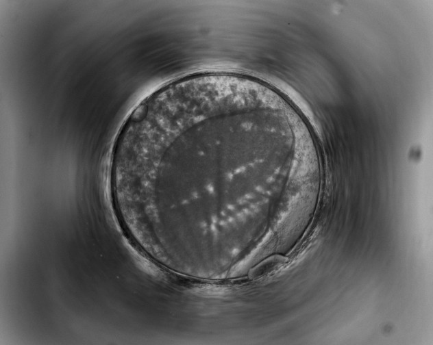 X0000103951245200810101431