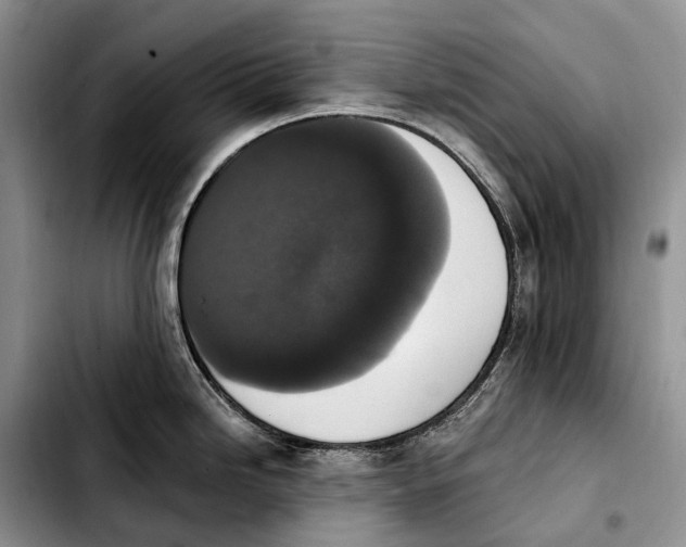 X0000103951246200810101431