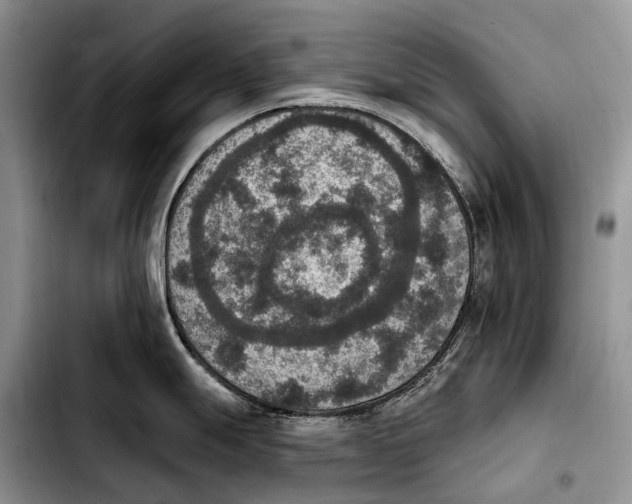 X0000103951247200810101431