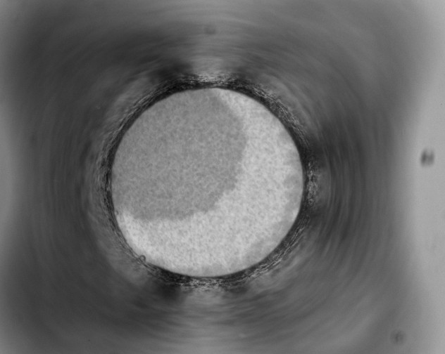 X0000103951249200810101430