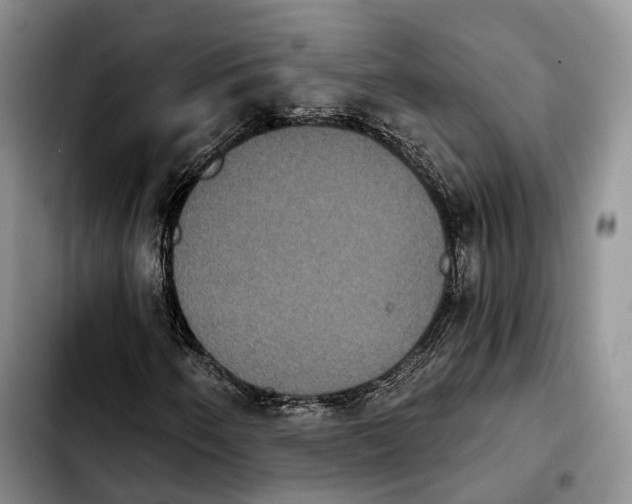 X0000103951250200810101430