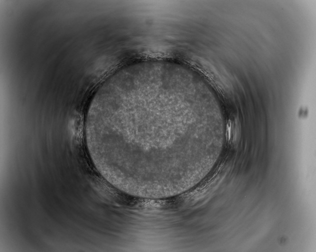 X0000103951251200810101430