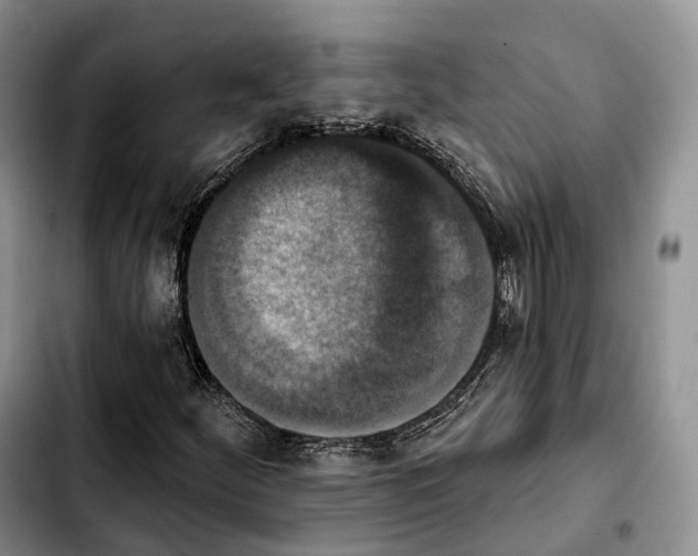 X0000103951252200810101430