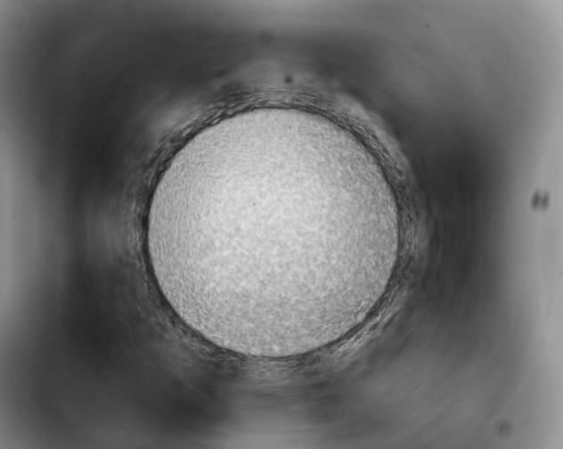 X0000103951253200810101430