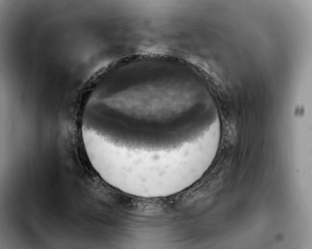 X0000103951254200810101430