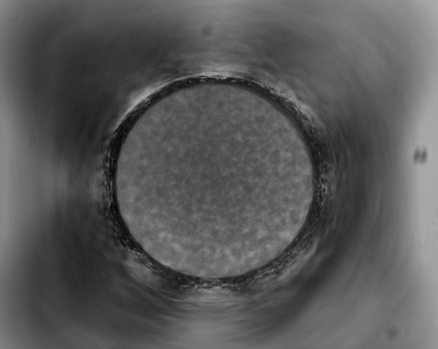 X0000103951256200810101430