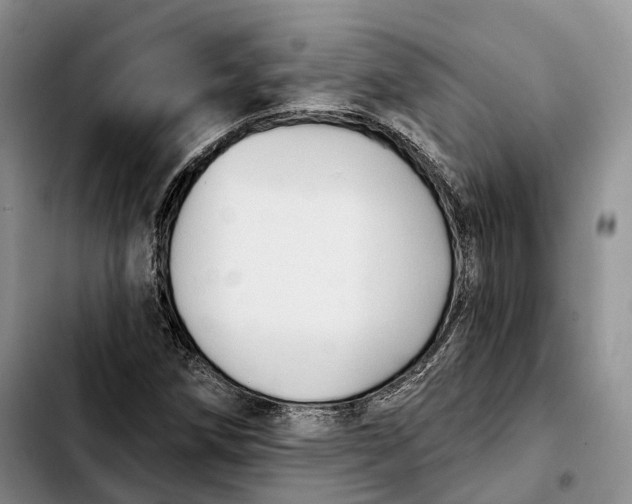 X0000103951258200810101430