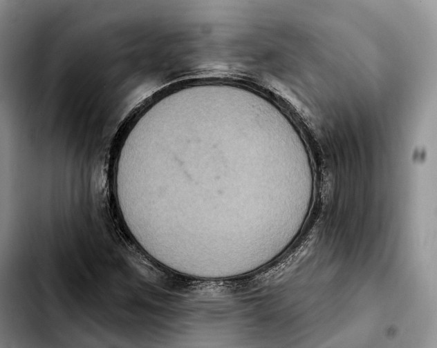 X0000103951259200810101430