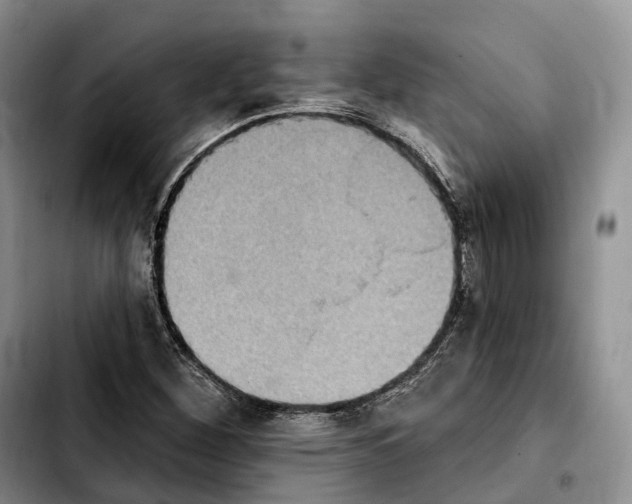 X0000103951260200810101430