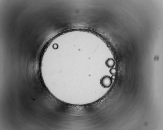 X0000103951261200810101430