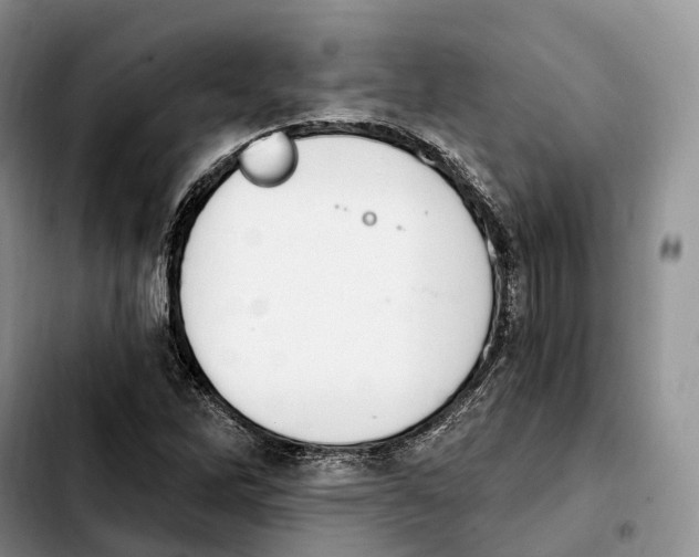 X0000103951262200810101430