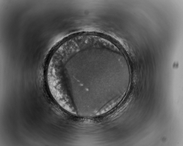 X0000103951263200810101430