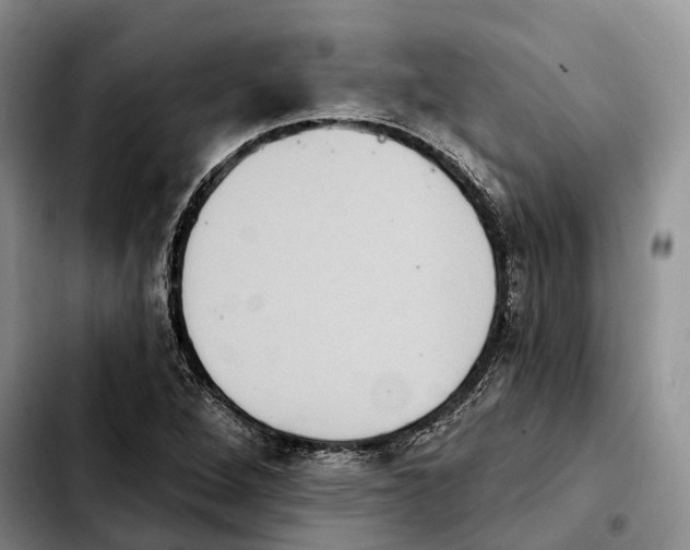 X0000103951264200810101430