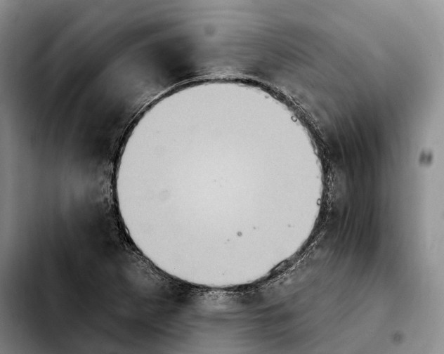 X0000103951265200810101430