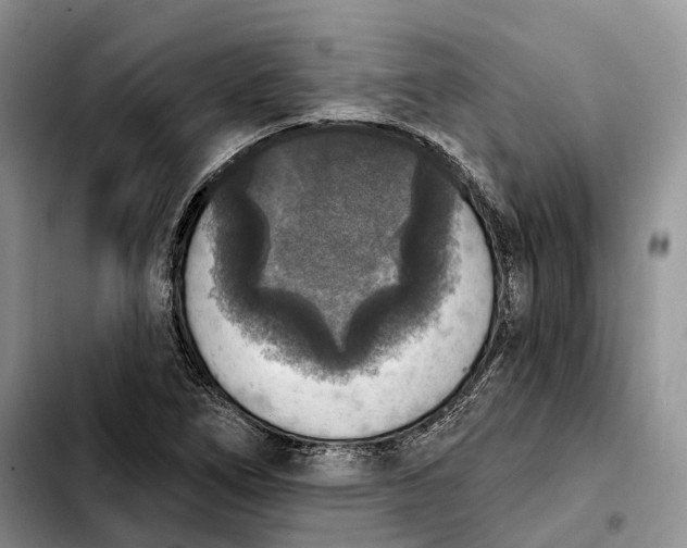 X0000103951266200810101430