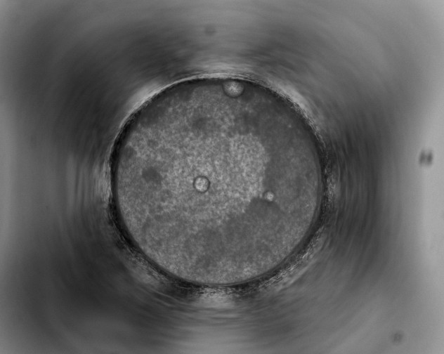 X0000103951267200810101430