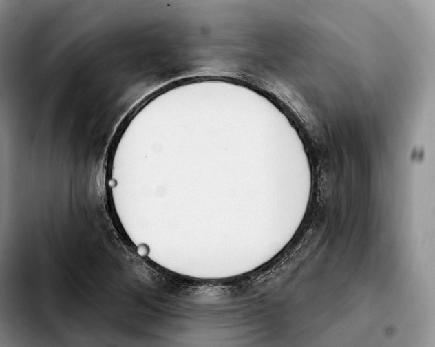 X0000103951268200810101430