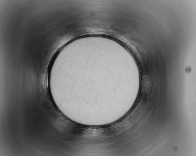 X0000103951269200810101430