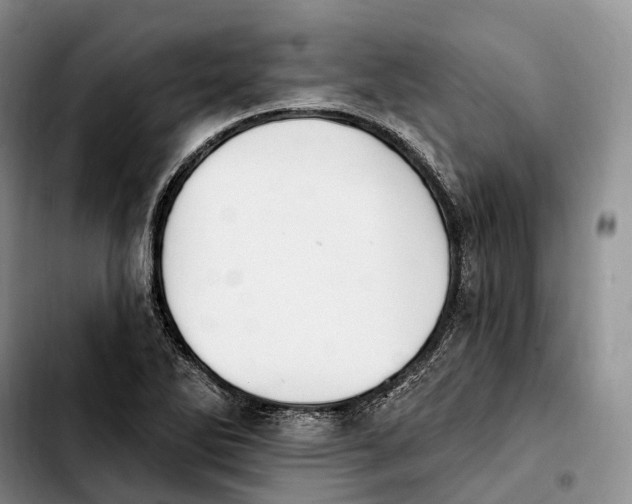 X0000103951270200810101430