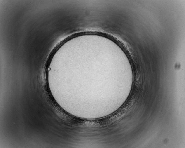 X0000103951271200810101430