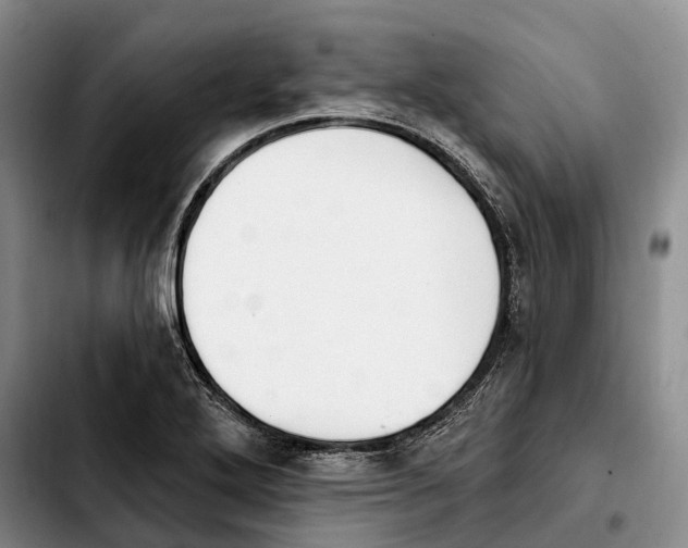 X0000103951272200810101430