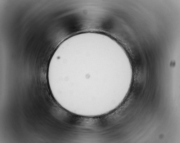 X0000103951273200810101430