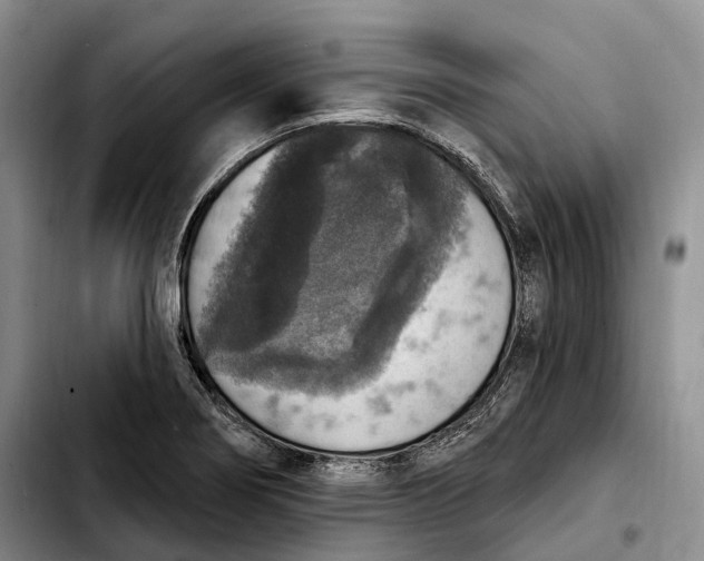 X0000103951274200810101430