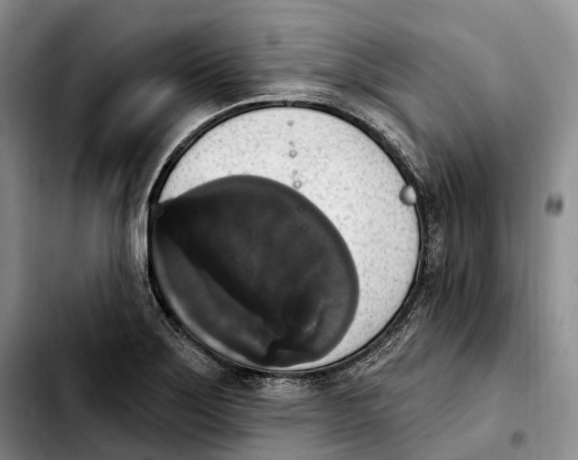 X0000103951275200810101430