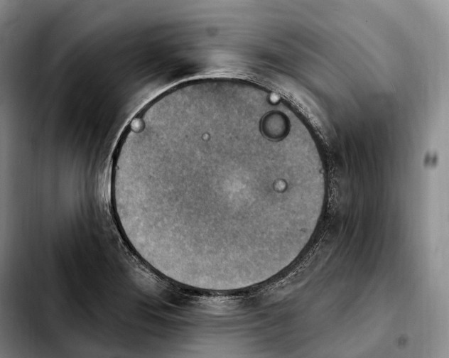 X0000103951276200810101430