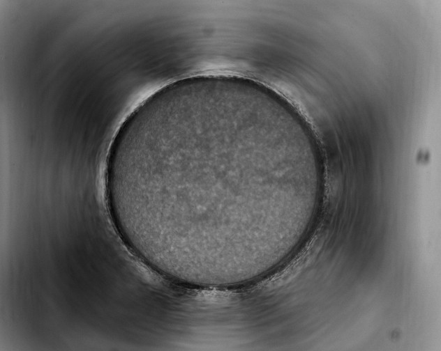 X0000103951277200810101430