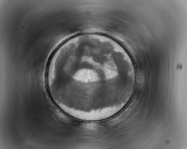 X0000103951278200810101430