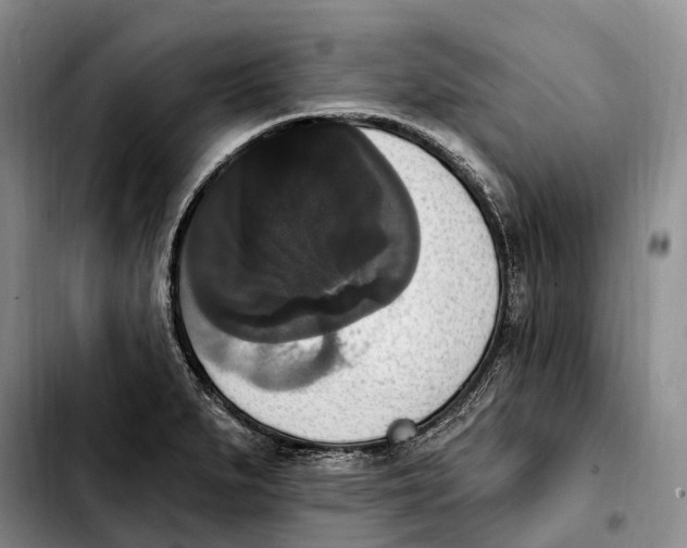 X0000103951279200810101430