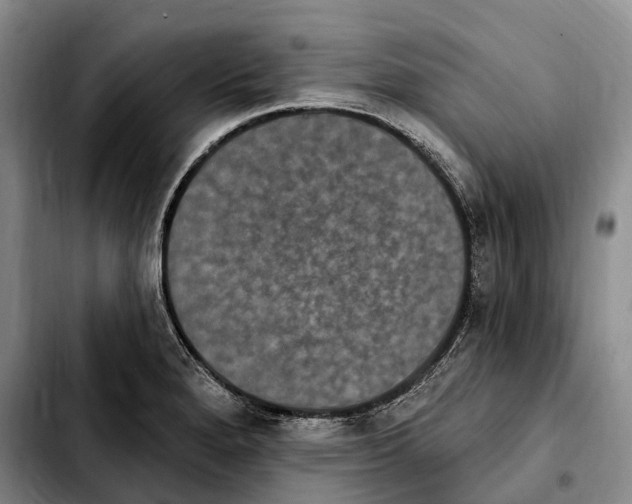 X0000103951280200810101430