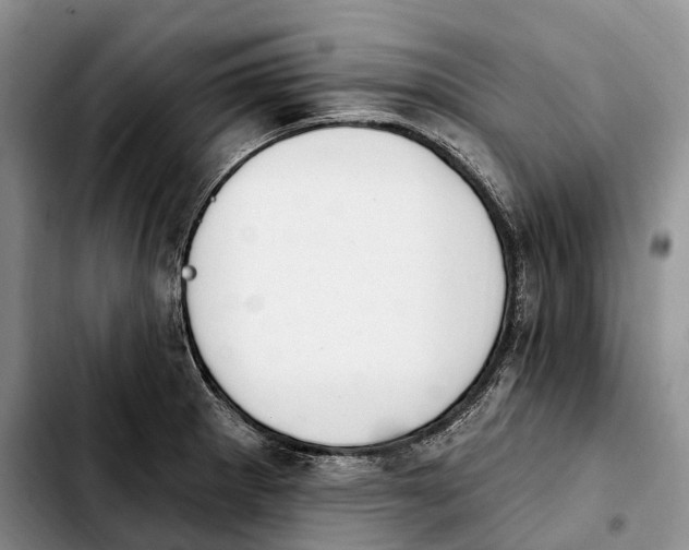 X0000103951281200810101430