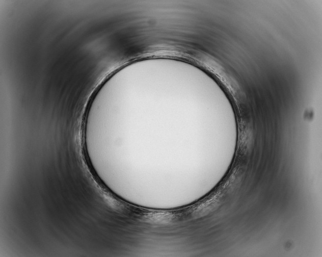 X0000103951282200810101430