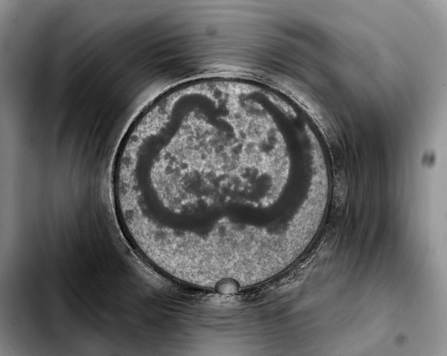 X0000103951283200810101430