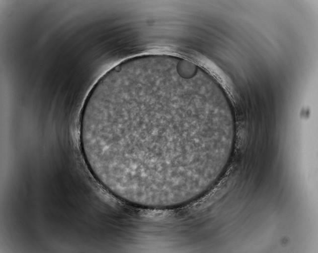 X0000103951284200810101430