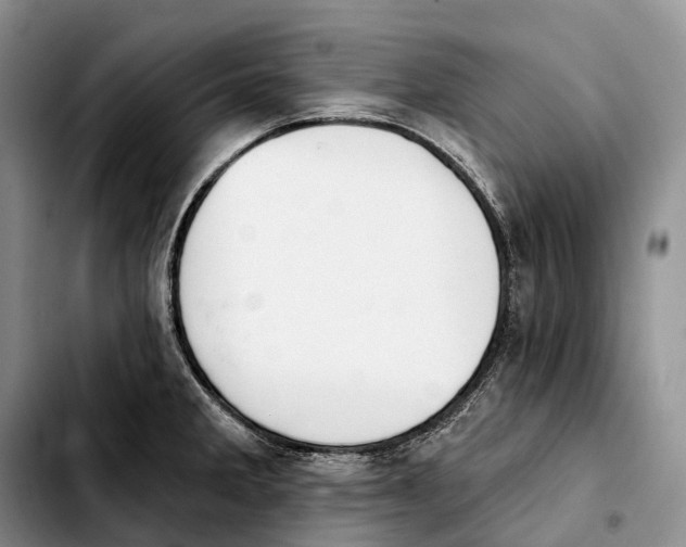 X0000103951285200810101430