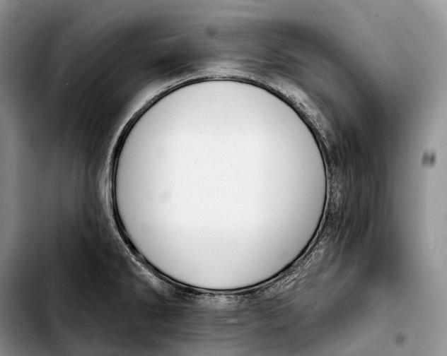 X0000103951286200810101430