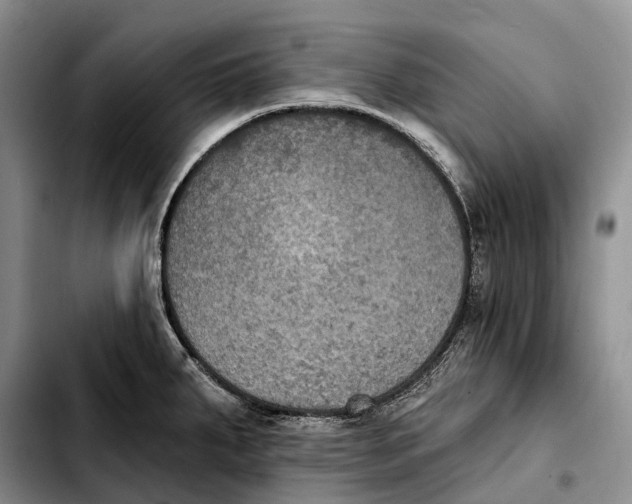 X0000103951287200810101430