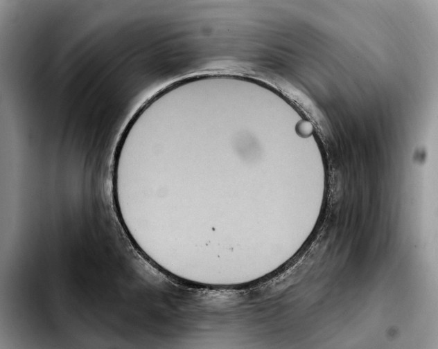 X0000103951288200810101430